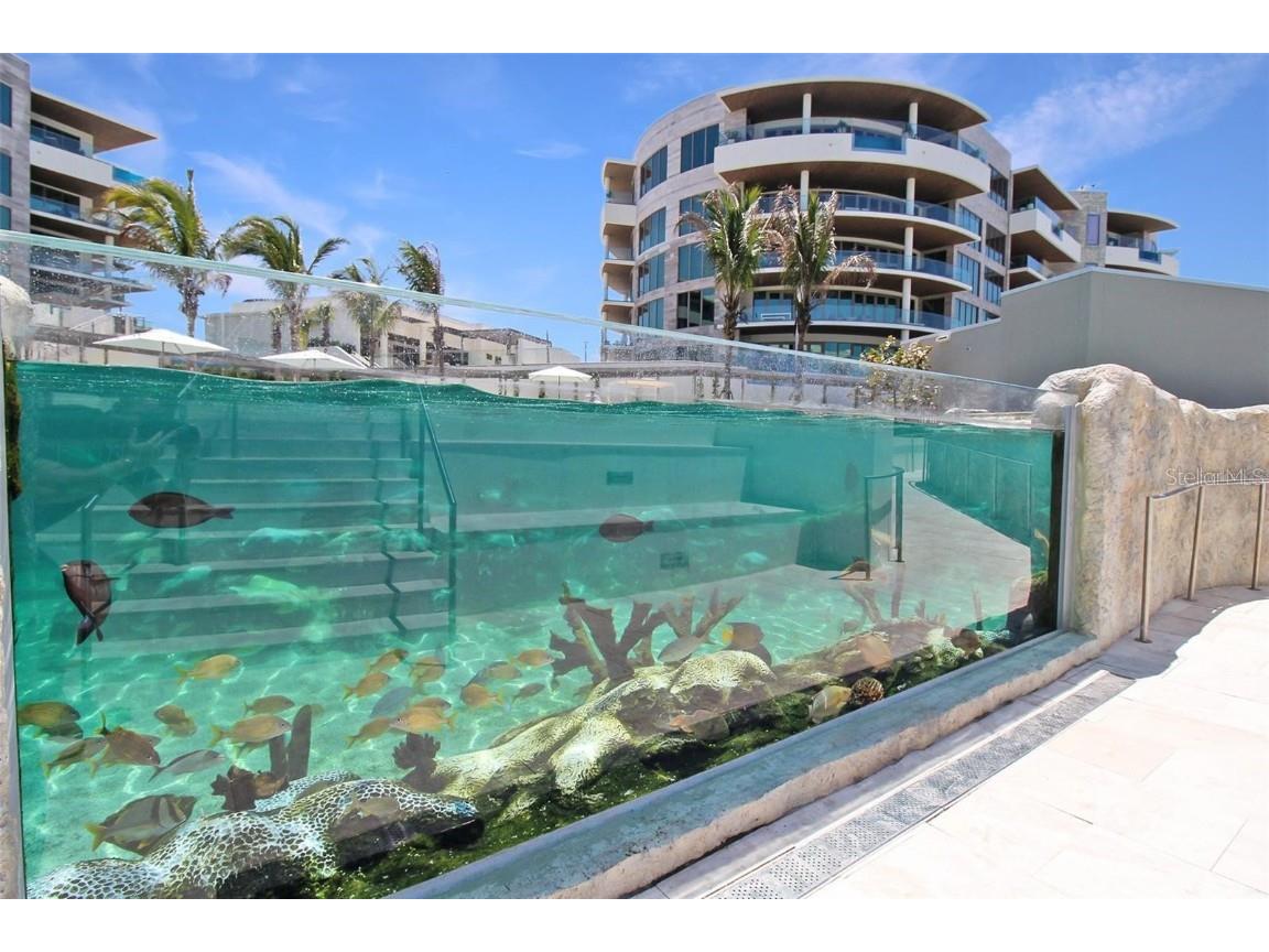 1581 Gulf Of Mexico Drive #307 Longboat Key FL 34228 - GULF OF MEXICO A4671506 image54