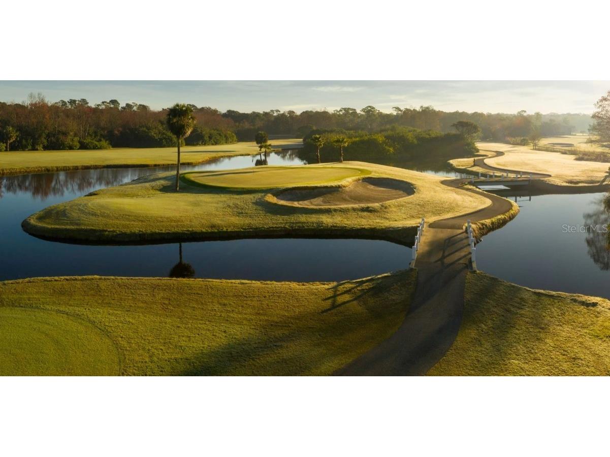 1581 Sandhill Court Palm Harbor FL 34683 A4675211 image19