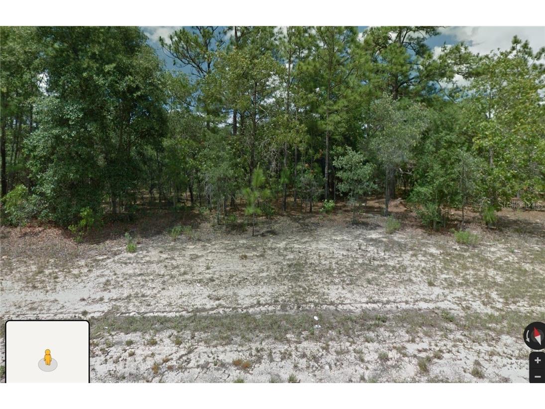 1581 W Thumper Drive Citrus Springs FL 34434 A4475472 image2