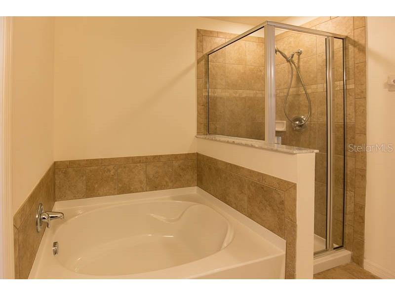 15810 Fishhawk View Drive Lithia FL 33547 TB8450613 image13