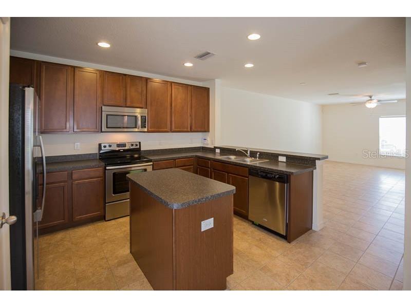 15810 Fishhawk View Drive Lithia FL 33547 TB8450613 image5