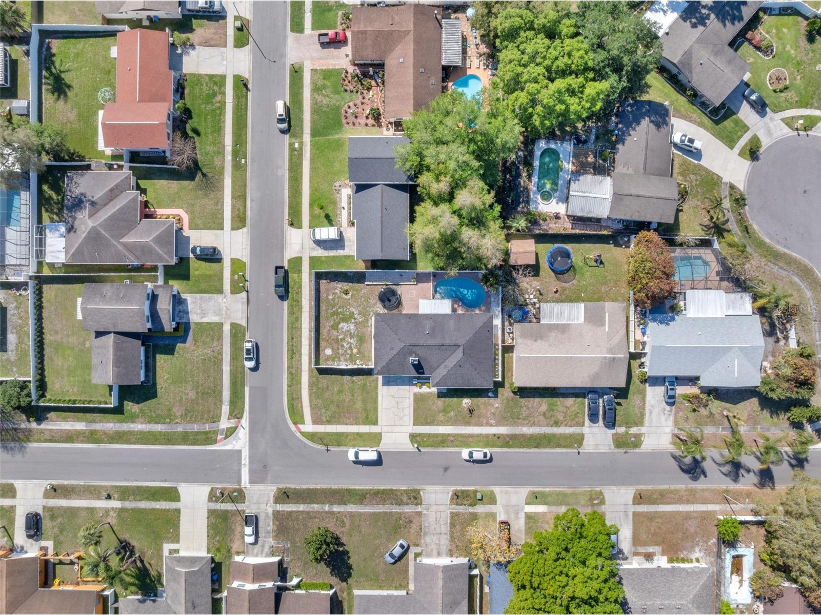 15810 Sea Oats Place Tampa FL 33624 TB8490726 image38