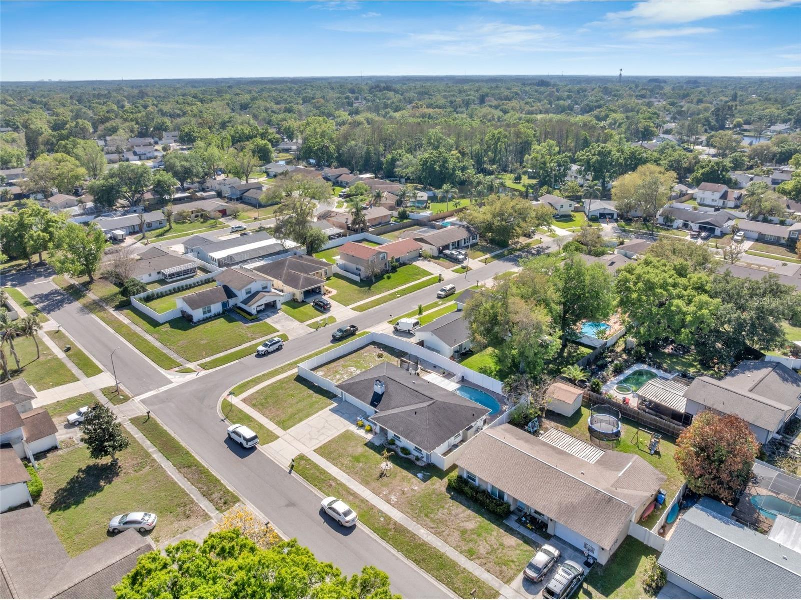 15810 Sea Oats Place Tampa FL 33624 TB8490726 image41