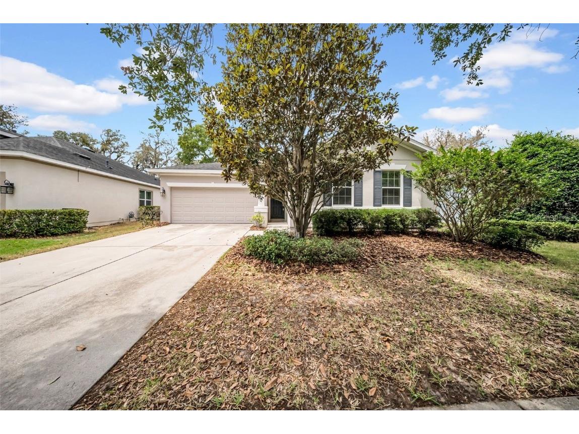 15810 Starling Water Drive Lithia FL 33547 TB8382736 image1