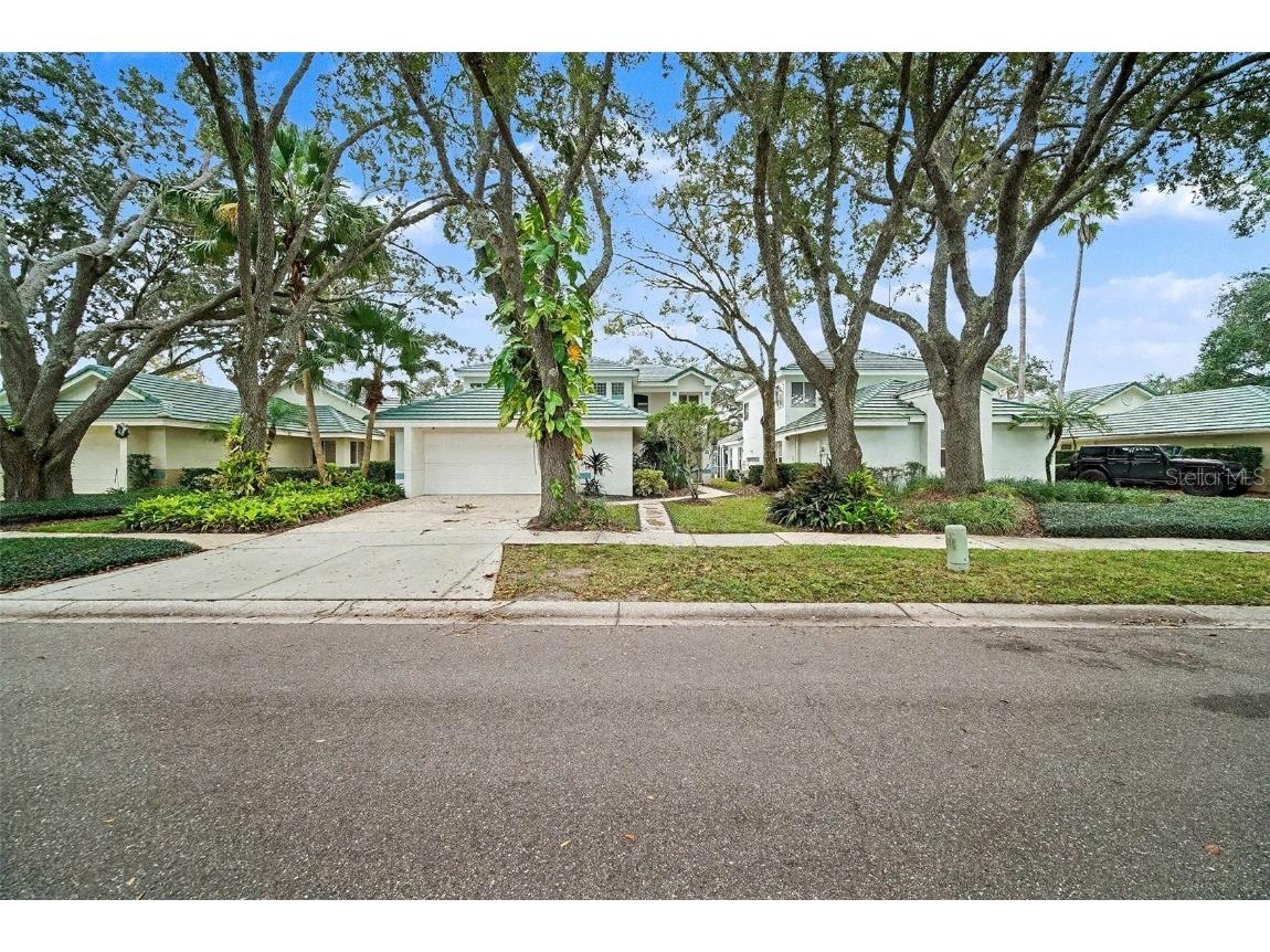 15811 Sanctuary Drive Tampa FL 33647 TB8457892 image1