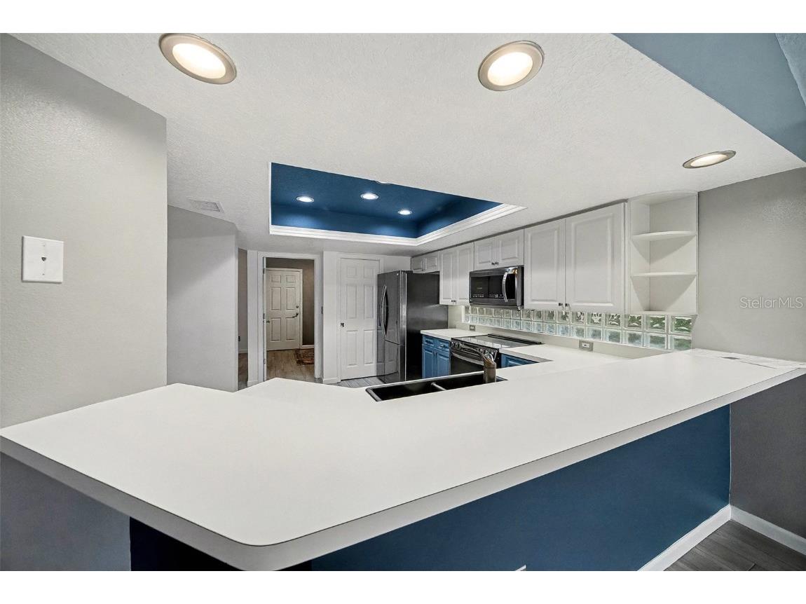 15811 Sanctuary Drive Tampa FL 33647 TB8457892 image14