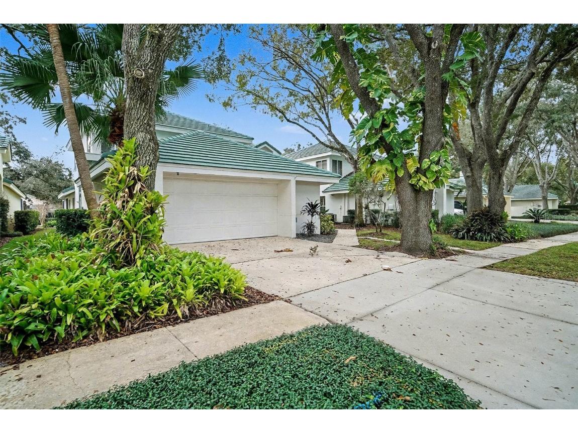 15811 Sanctuary Drive Tampa FL 33647 TB8457892 image4