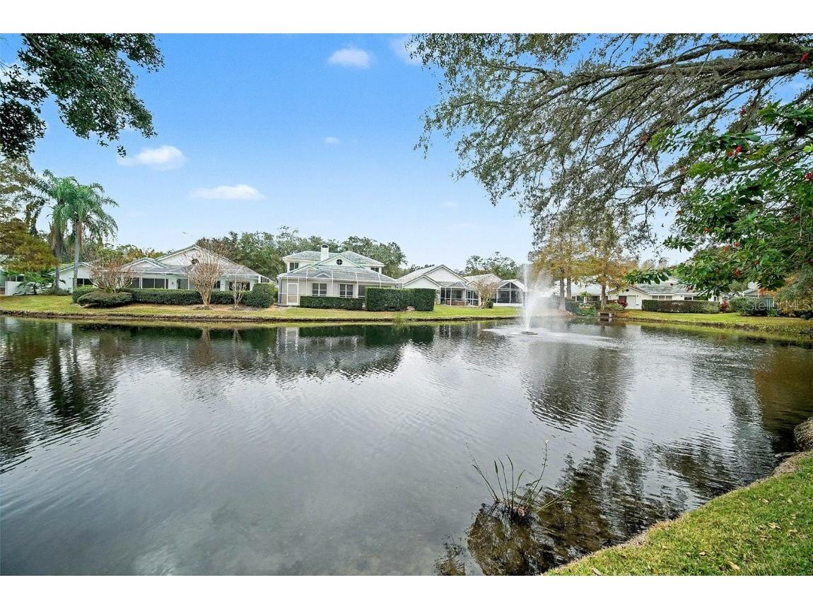 15811 Sanctuary Drive Tampa FL 33647 TB8457892 image43