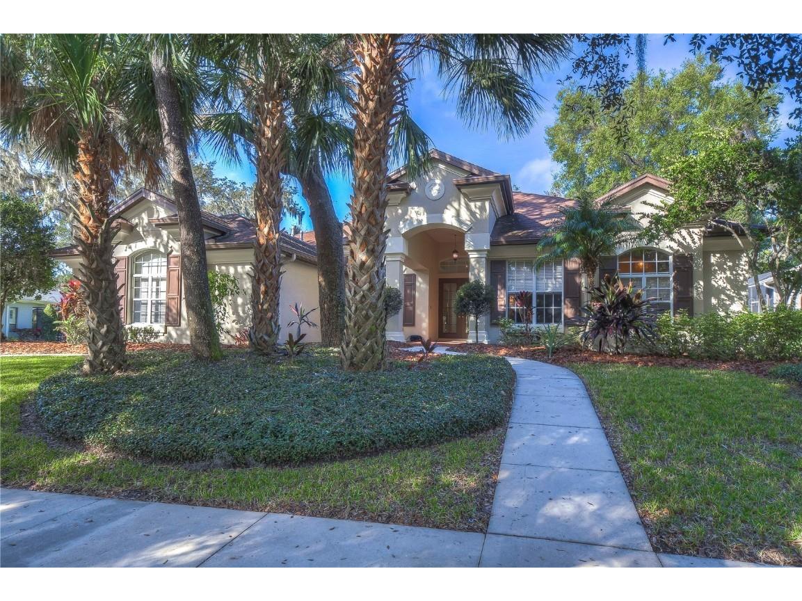 15811 Sorawater Drive Lithia FL 33547 T3499763 image1
