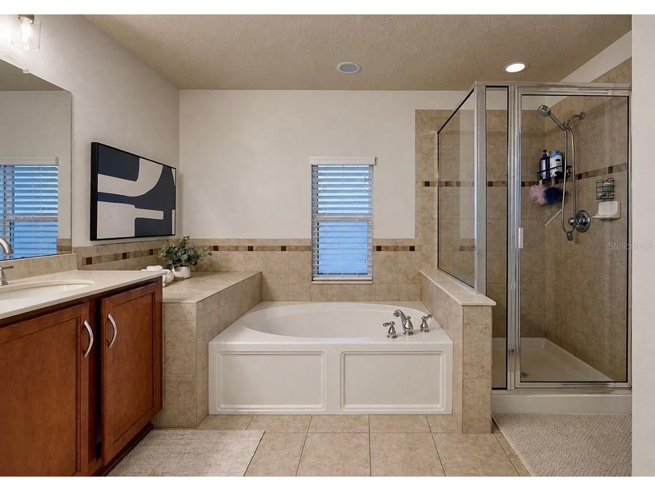 15813 Starling Crossing Dr Lithia FL 33547 TB8504528 image41
