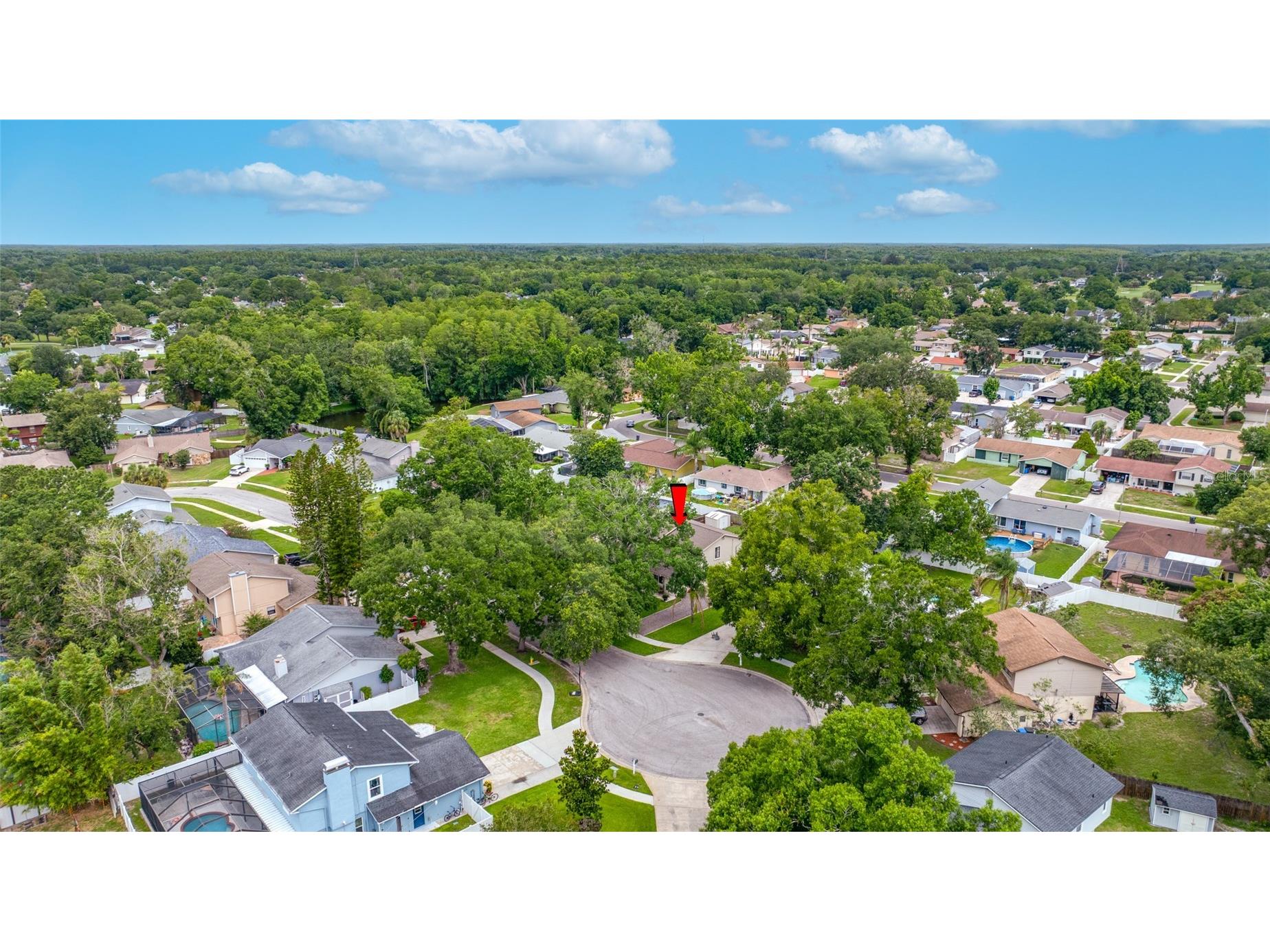 15816 Hound Horn Lane Tampa FL 33624 TB8516623 image3
