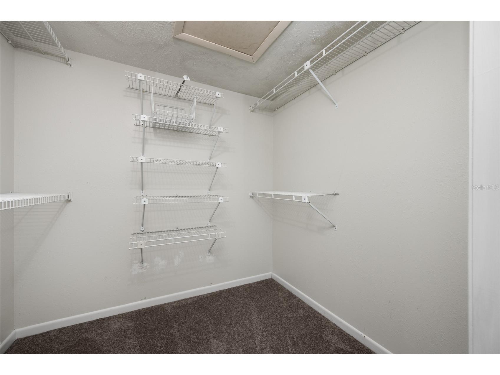 15816 Hound Horn Lane Tampa FL 33624 TB8516623 image45