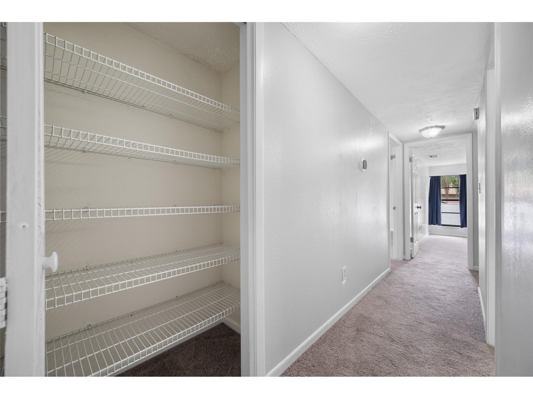 15816 Hound Horn Lane Tampa FL 33624 TB8516623 image46