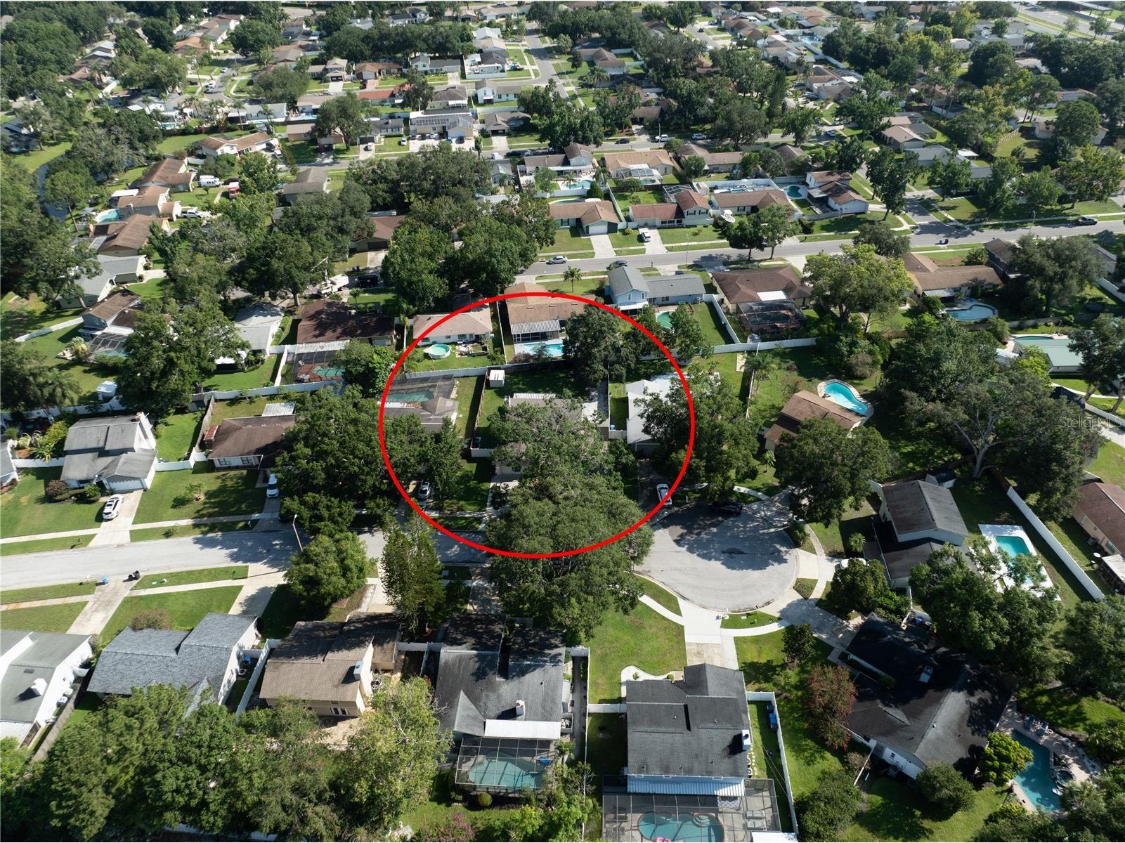 15816 Hound Horn Lane Tampa FL 33624 TB8516623 image75