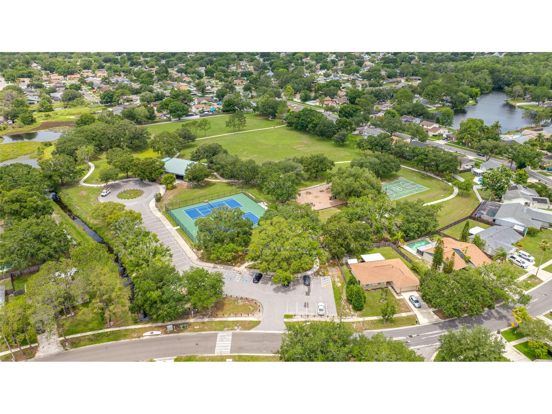 15816 Hound Horn Lane Tampa FL 33624 TB8516623 image77