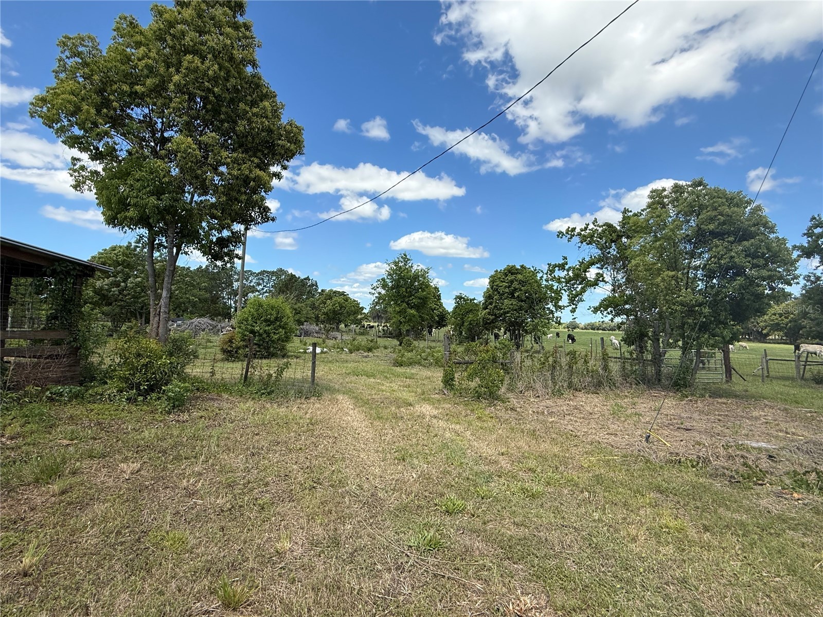 15816 Mullins Boulevard Umatilla FL 32784 G5110685 image5