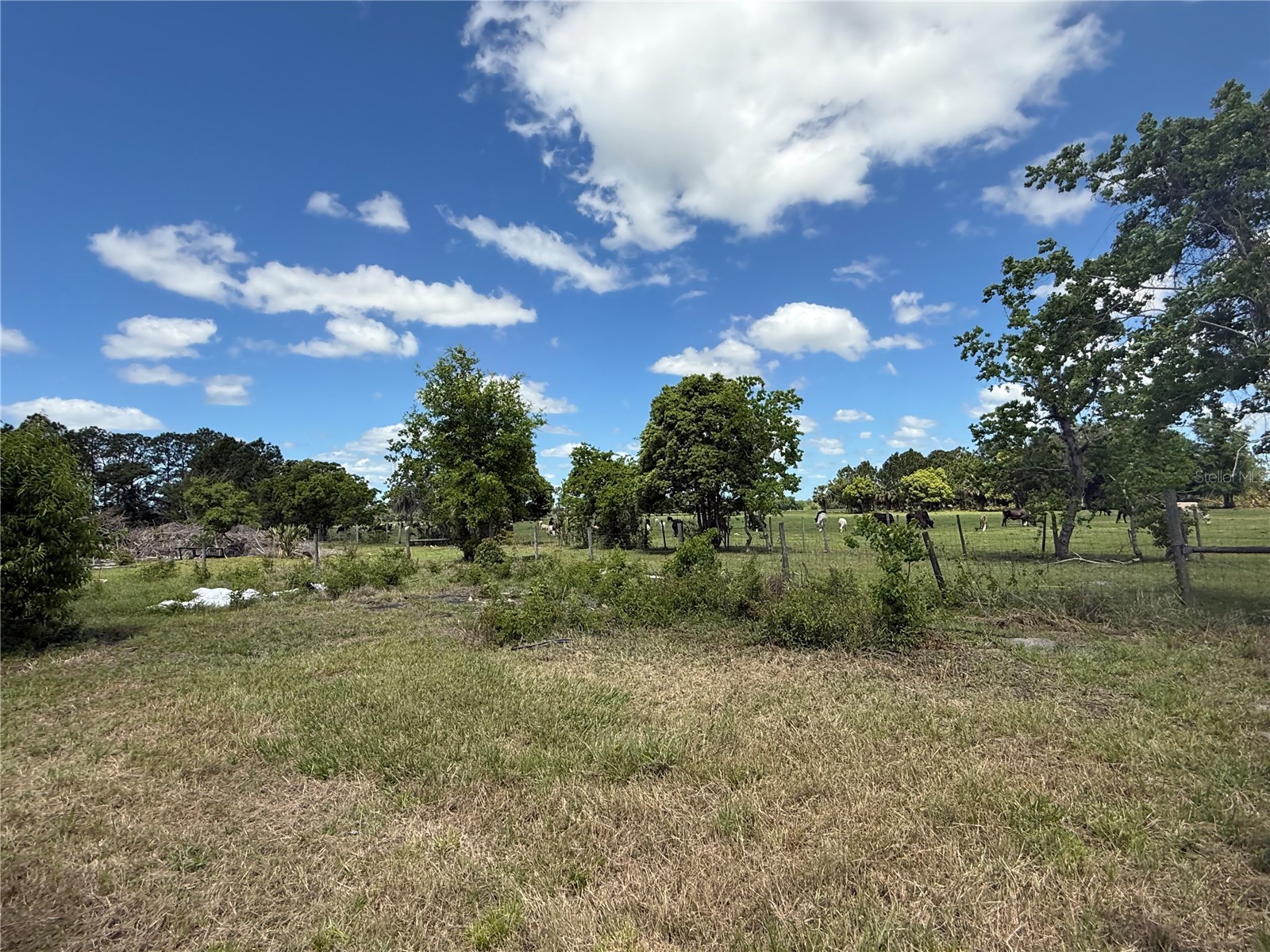 15816 Mullins Boulevard Umatilla FL 32784 G5110685 image6