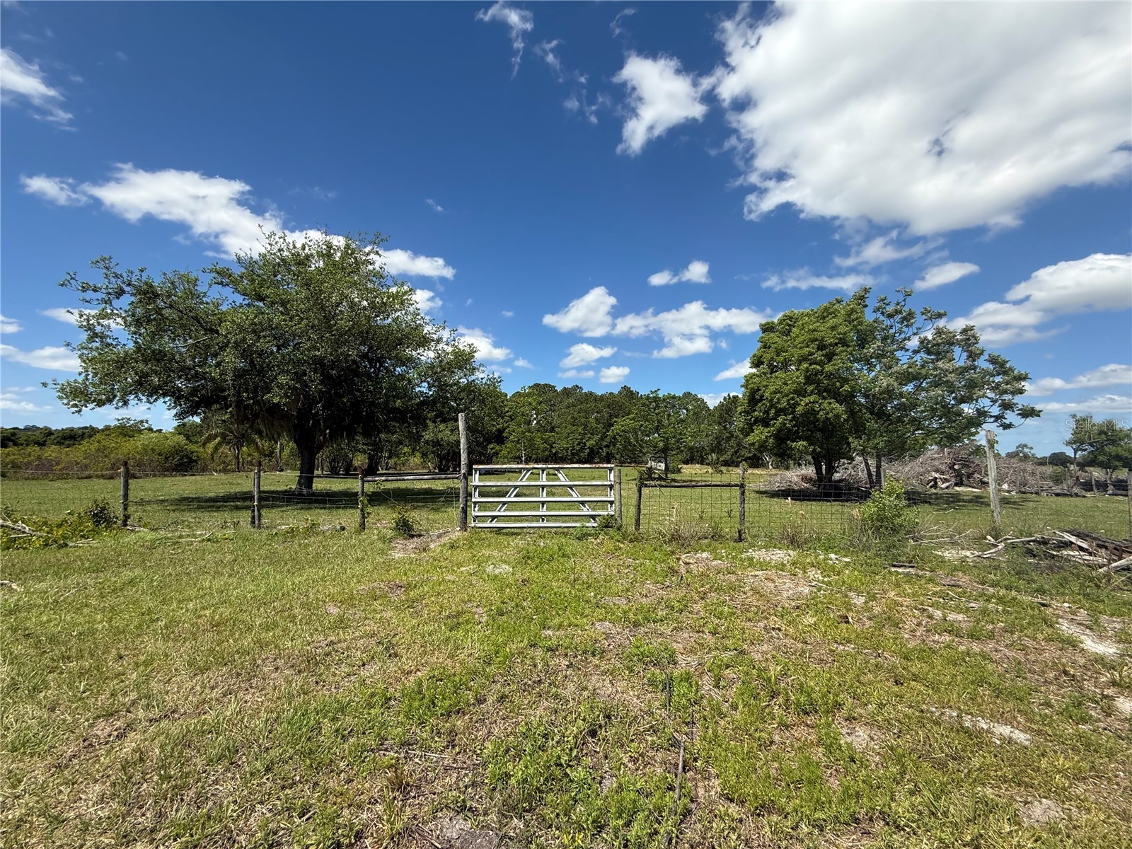 15816 Mullins Boulevard Umatilla FL 32784 G5110685 image8