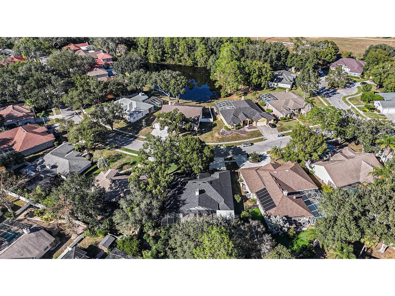 15818 Fairchild Drive Tampa FL 33647 TB8450903 image40