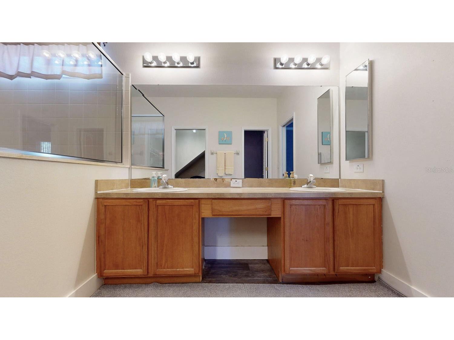 15819 Cedar Elm Terrace Land O Lakes FL 34638 TB8470526 image37