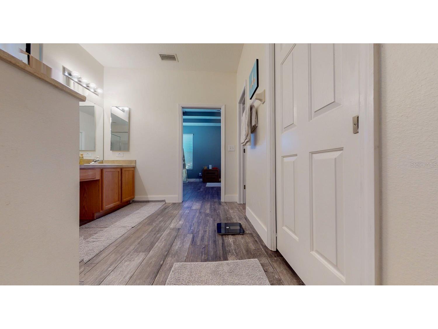 15819 Cedar Elm Terrace Land O Lakes FL 34638 TB8470526 image38