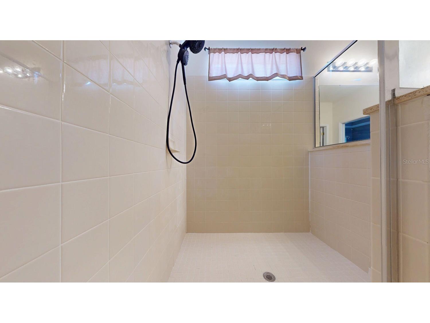 15819 Cedar Elm Terrace Land O Lakes FL 34638 TB8470526 image39