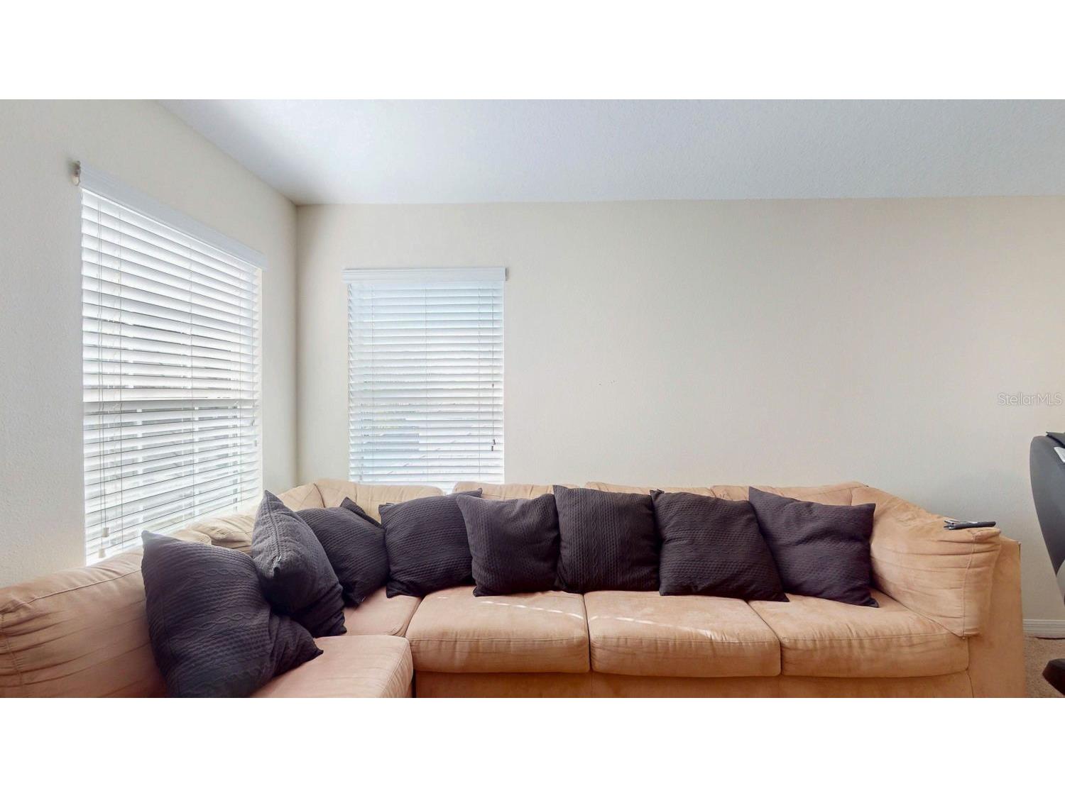 15819 Cedar Elm Terrace Land O Lakes FL 34638 TB8470526 image42