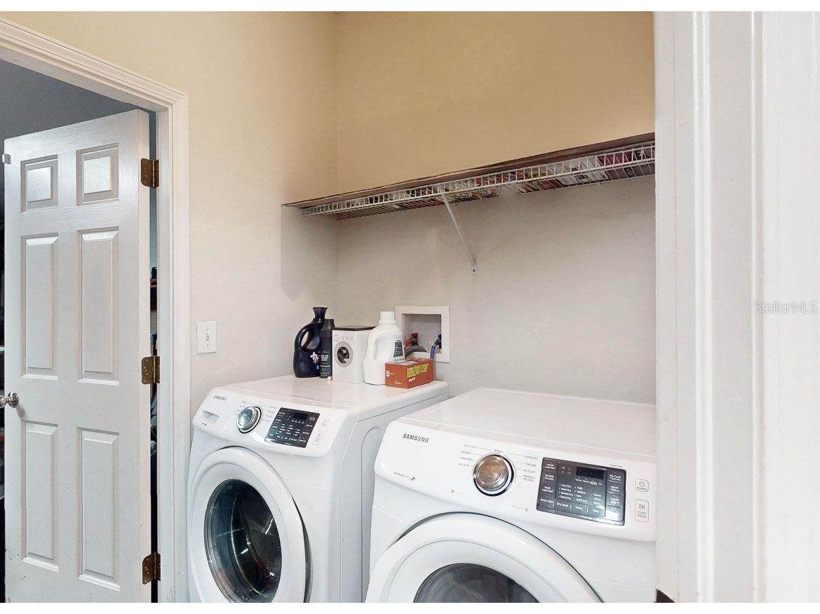 15819 Cedar Elm Terrace Land O Lakes FL 34638 TB8470526 image46