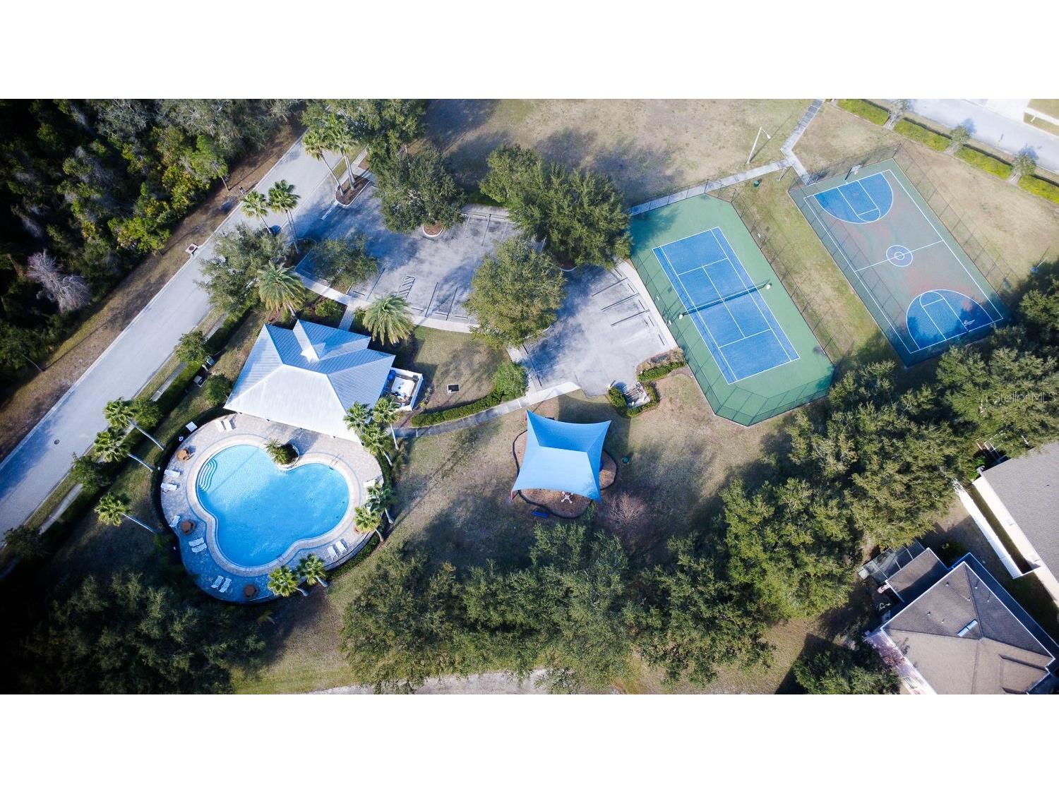 15819 Cedar Elm Terrace Land O Lakes FL 34638 TB8470526 image49