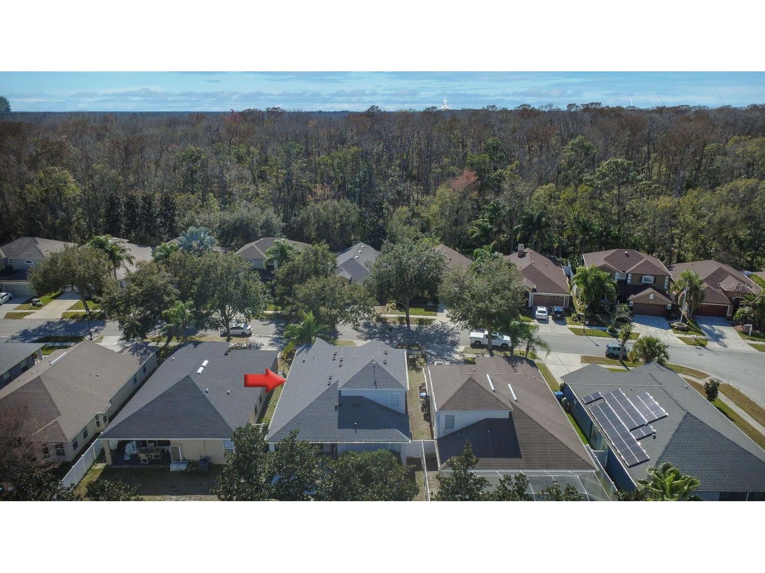 15819 Cedar Elm Terrace Land O Lakes FL 34638 TB8470526 image54