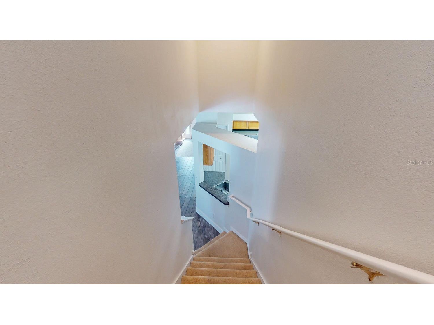 15819 Cedar Elm Terrace Land O Lakes FL 34638 TB8470526 image59