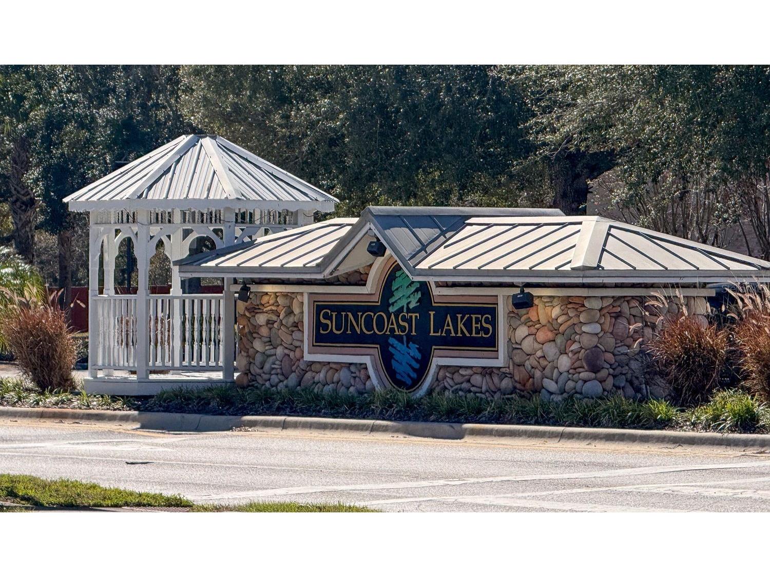 15819 Cedar Elm Terrace Land O Lakes FL 34638 TB8470526 image60