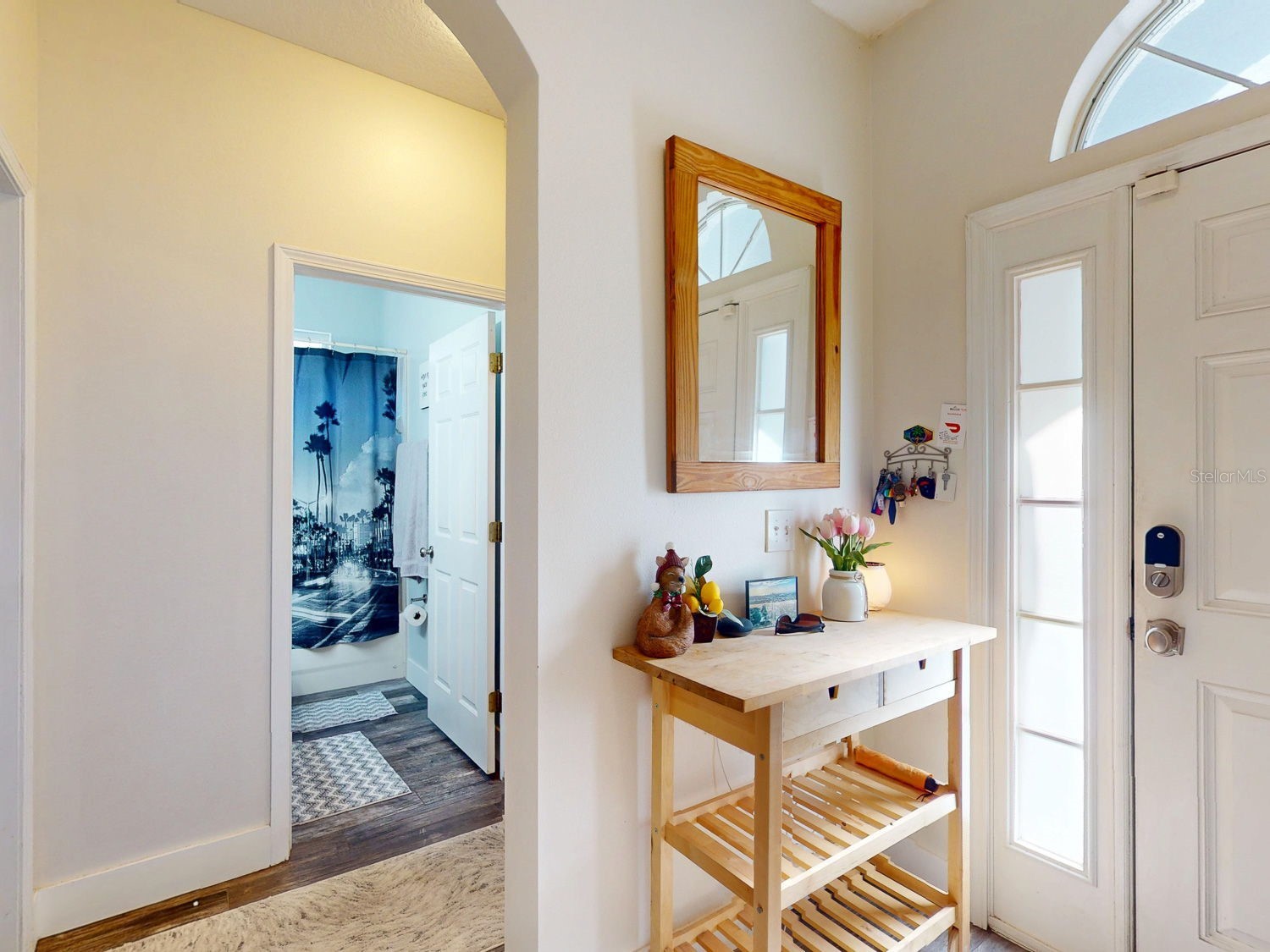 15819 Cedar Elm Terrace Land O Lakes FL 34638 TB8470526 image7