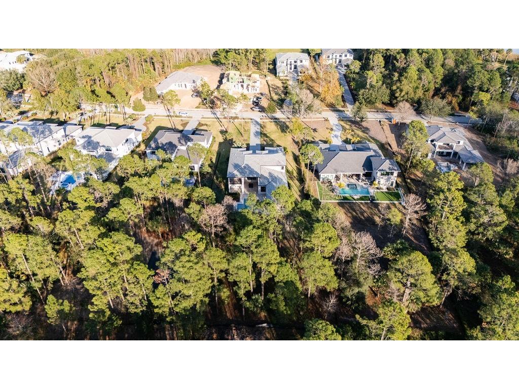 15820 Pendio Drive Montverde FL 34756 O6372865 image94