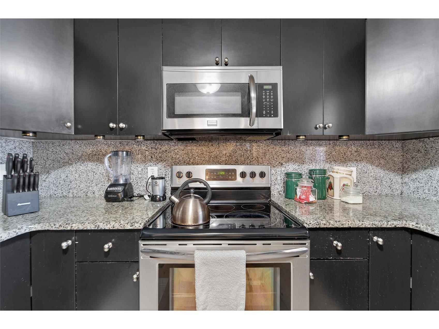 15821 Adobe Drive Hudson FL 34667 TB8489749 image13