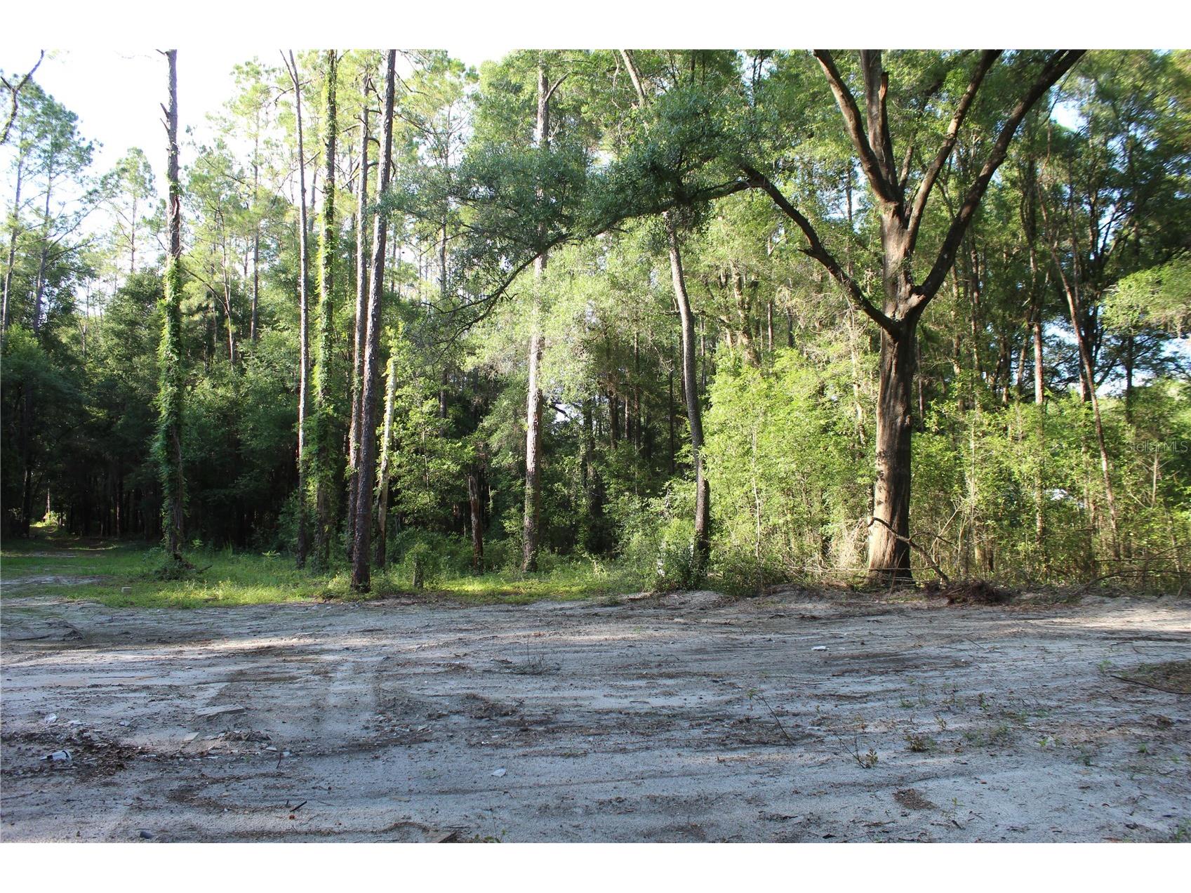 15821 Sw 50th Avenue Archer FL 32618 GC541453 image10