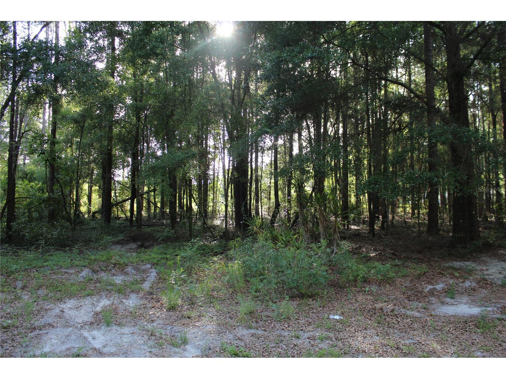 15821 Sw 50th Avenue Archer FL 32618 GC541453 image12