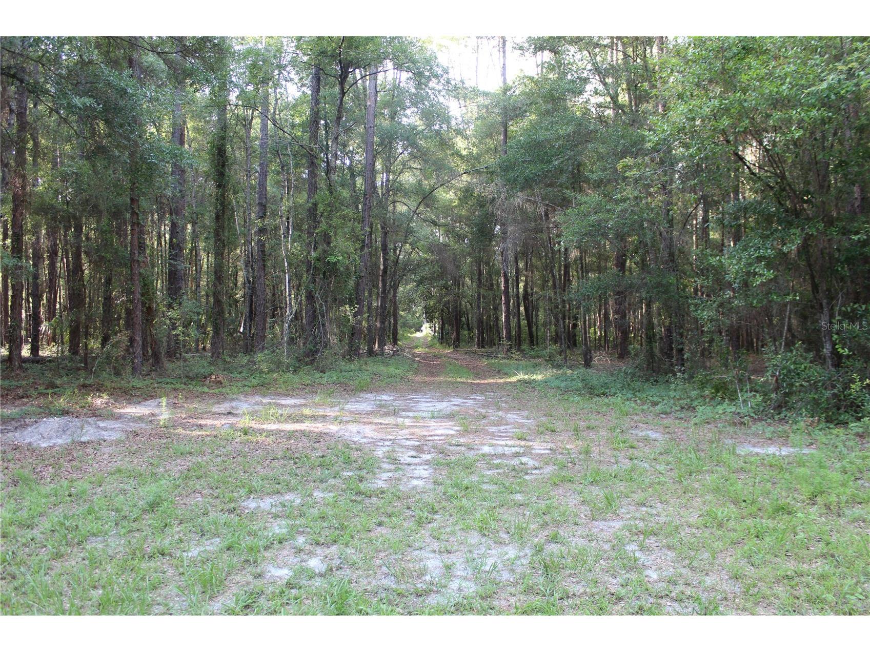 15821 Sw 50th Avenue Archer FL 32618 GC541453 image13