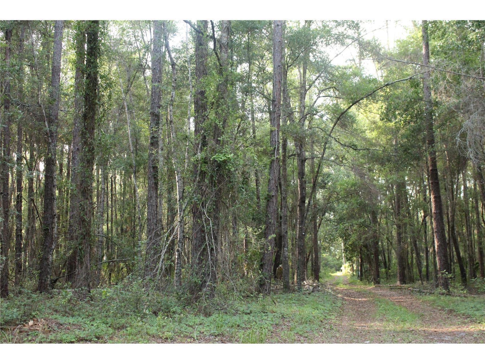 15821 Sw 50th Avenue Archer FL 32618 GC541453 image15