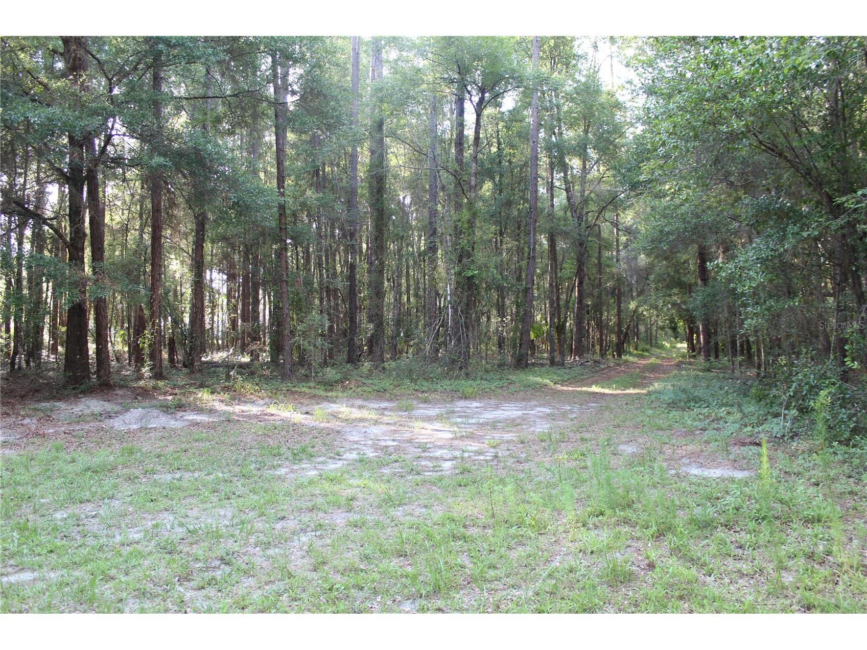 15821 Sw 50th Avenue Archer FL 32618 GC541453 image4