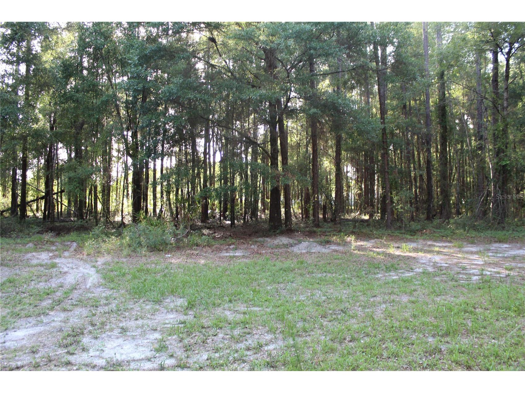 15821 Sw 50th Avenue Archer FL 32618 GC541453 image6