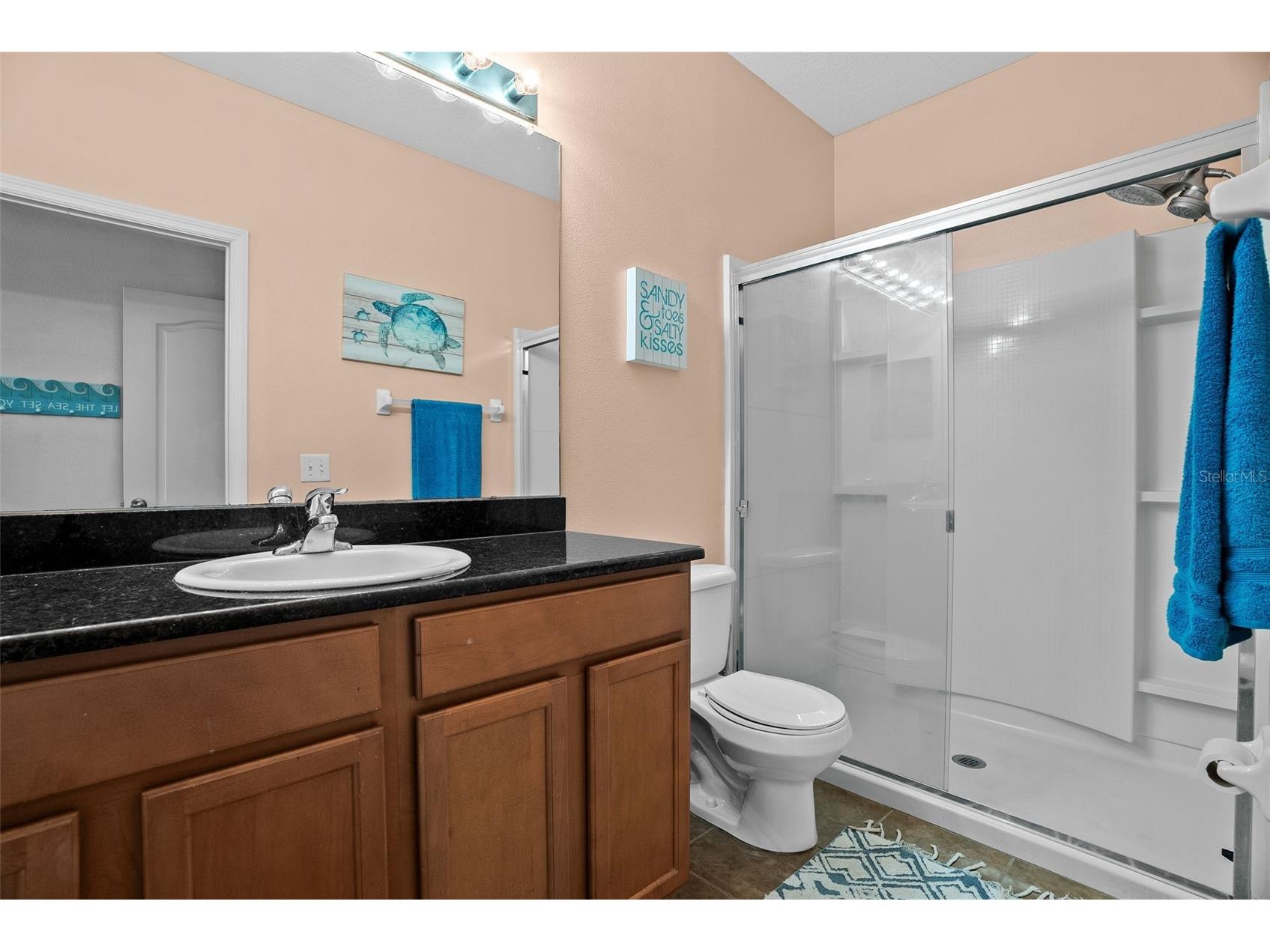 15822 Stable Run Drive Spring Hill FL 34610 TB8464454 image18