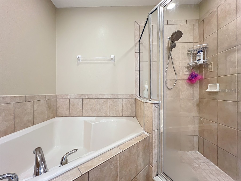 15822 Woodland Spring Court Orlando FL 32828 O6315886 image47