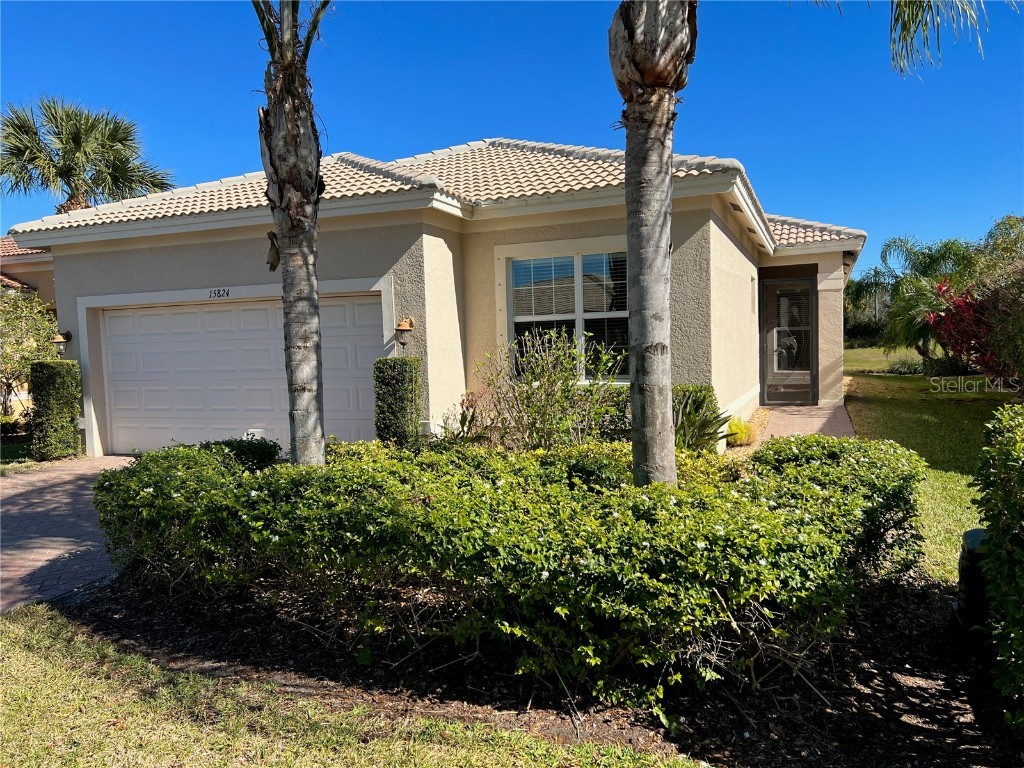15824 Amber Falls Drive Wimauma FL 33598 T3419017 image1