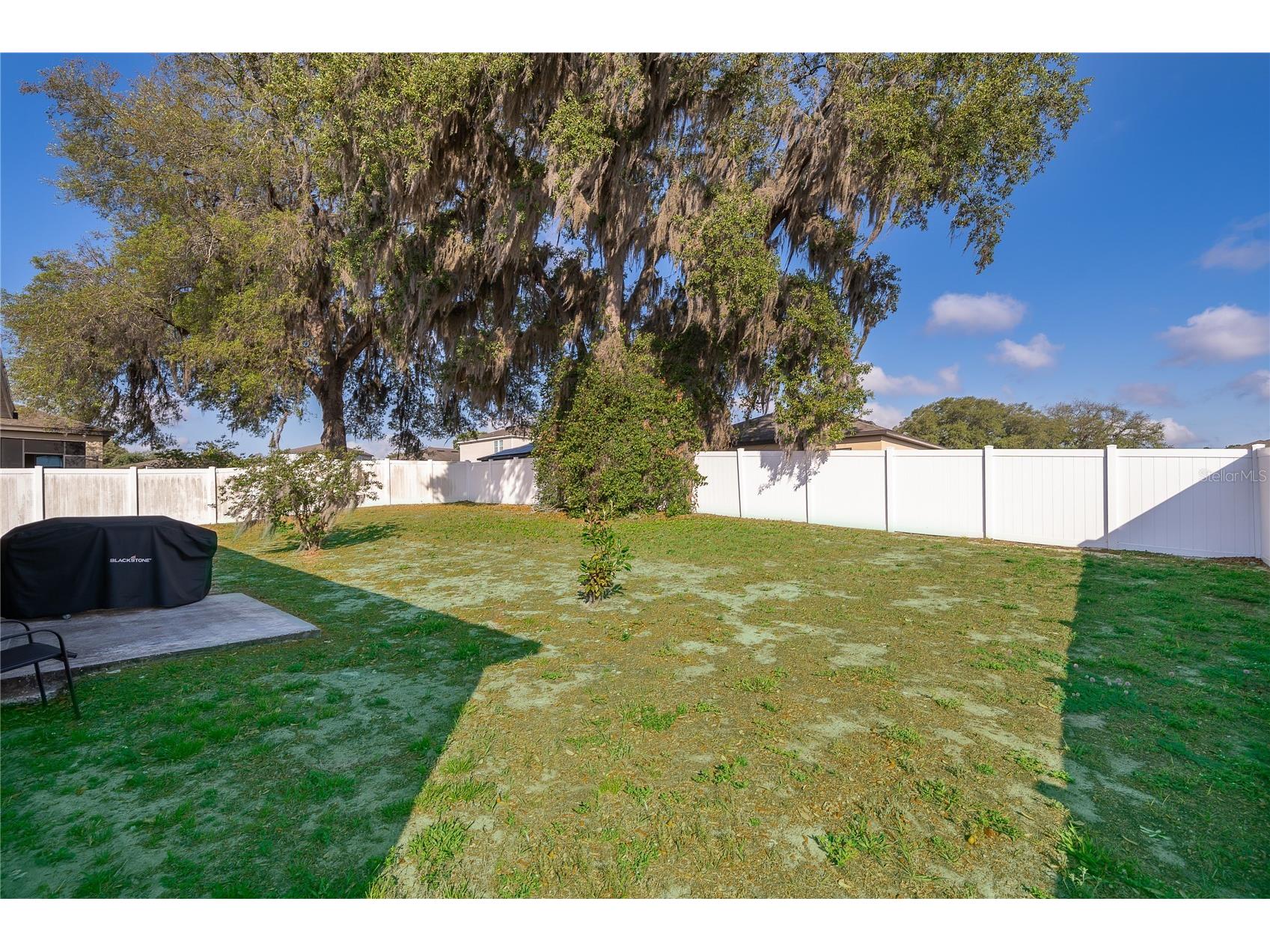15824 Surfbird Court Mascotte FL 34753 O6403611 image22