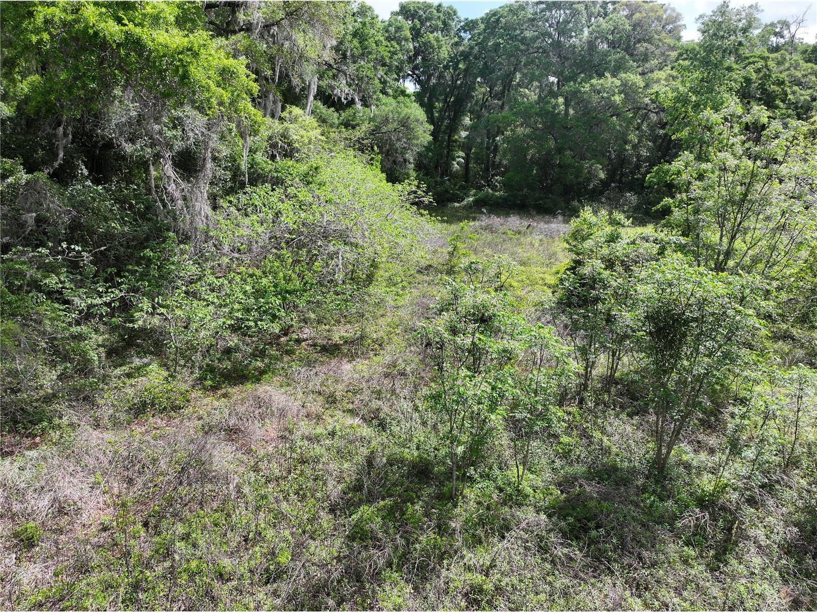 15825 NW 38th Avenue Reddick FL 32686 A4688206 image11