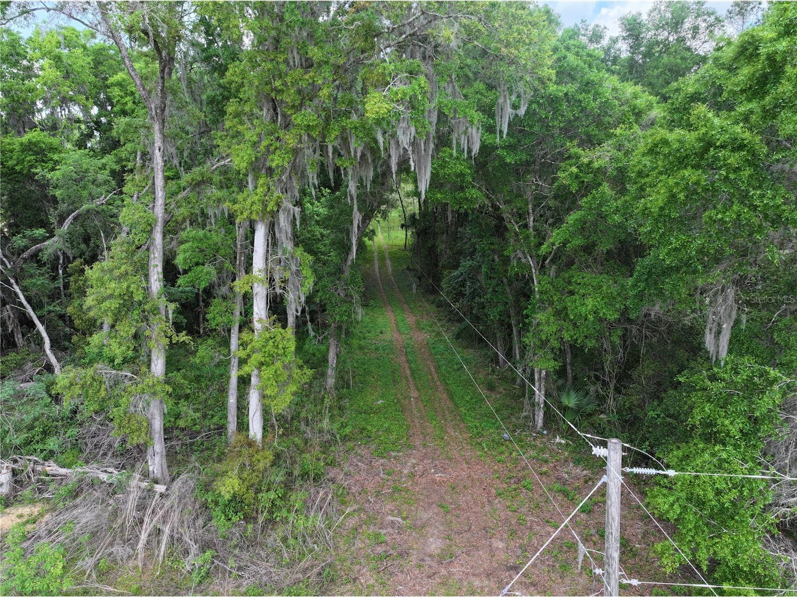 15825 NW 38th Avenue Reddick FL 32686 A4688206 image13