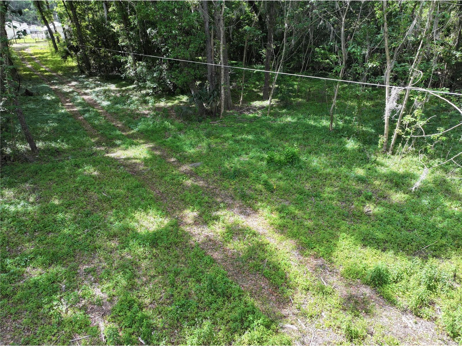 15825 NW 38th Avenue Reddick FL 32686 A4688206 image15