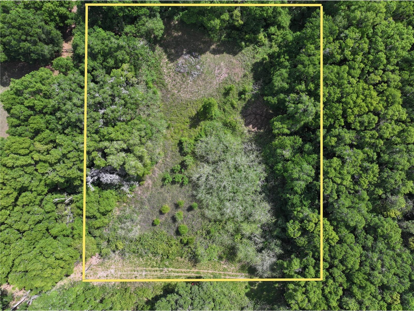 15825 NW 38th Avenue Reddick FL 32686 A4688206 image2