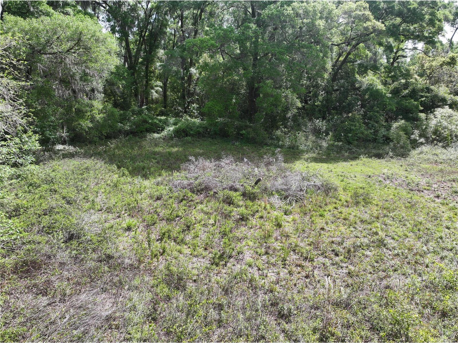 15825 NW 38th Avenue Reddick FL 32686 A4688206 image5